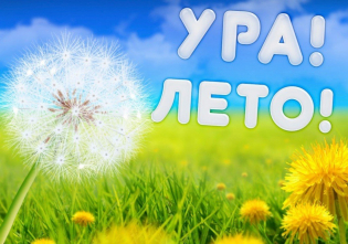  «Здравствуй лето!» 